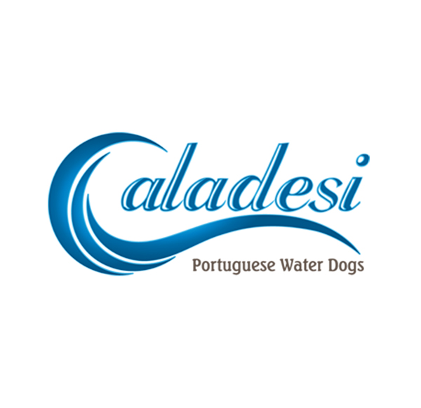 Caladesi PWDs - Gainesville, Florida - Logo Design