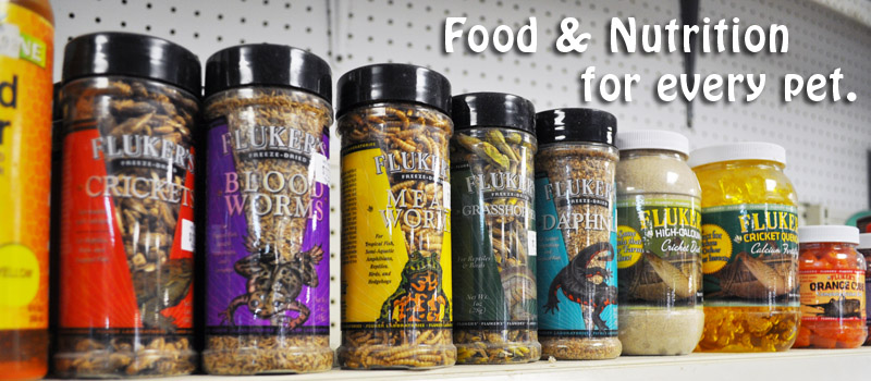 Food for every pet