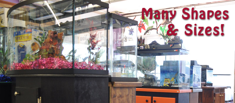 Fish tanks of all sizes