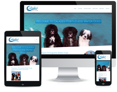 Caladesi PWDs Responsive Website Design